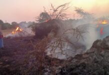 ವಿದ್ಯುತ್ ಟಿಸಿಗೆ ಬೆಂಕಿಹೊತ್ತಿ ರೈತರ ಬಣವಿಗಳಿಗೆ ವ್ಯಾಪಿಸಿ ಅಪಾರನಷ್ಟ