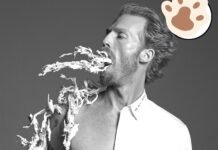 ರಾಷ್ಟ್ರೀಯ ಪಕ್ಷ ವೊಂದು ಇಷ್ಟೊಂದು ಬೇಜವಾಬ್ದಾರಿತನದಿಂದ ಕಿಡಿಗೇಡಿ ಟ್ರೋಲರ್ ಗಳ ರೀತಿ ಸುಳ್ಳು ಸುದ್ದಿಯನ್ನು ಪ್ರಚಾರ ಮಾಡುತ್ತಿರುವುದು ವಿಷಾದನೀಯ:ಮುಖ್ಯ ಮಂತ್ರಿ