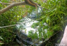 MSEZ ನಿರ್ಮಿಸಿದ ಕಾಲನಿ ಯಲ್ಲಿ ಗುಡ್ಡ ಕುಸಿದುಬಿದ್ದು 8 ಮನೆಗಳು,ಎರಡು ರಿಕ್ಷಾ ಮತ್ತು ಒಂದು ಕಾರು ಸಂಪೂರ್ಣವಾಗಿ ಮಣ್ಣಿನಡಿಯಲ್ಲಿ ಹೂತುಹೋಗಿದೆ.