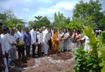 ಗಿಡಮೂಲಿಕೆಗಳನ್ನು ಬೆಳೆಸಿ.ಆರೋಗ್ಯವಂತಾಗಿರಿ.