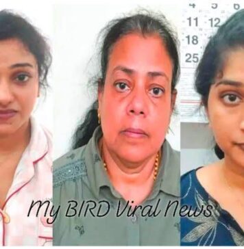 ಸೆಕ್ಸ್ ರಾಕೆಟ್ ಜಾಲಕ್ಕೆ ಸಿಲುಕಿದ ಯುವತಿಯ ಆಘಾತಕಾರಿ ರಹಸ್ಯ ಬಯಲು!